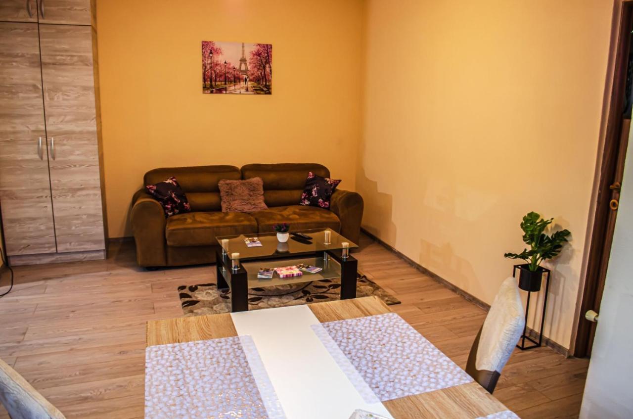 סיגישוארה Schaessburg Apartment #1 מראה חיצוני תמונה