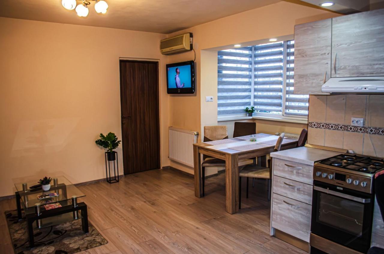 סיגישוארה Schaessburg Apartment #1 מראה חיצוני תמונה